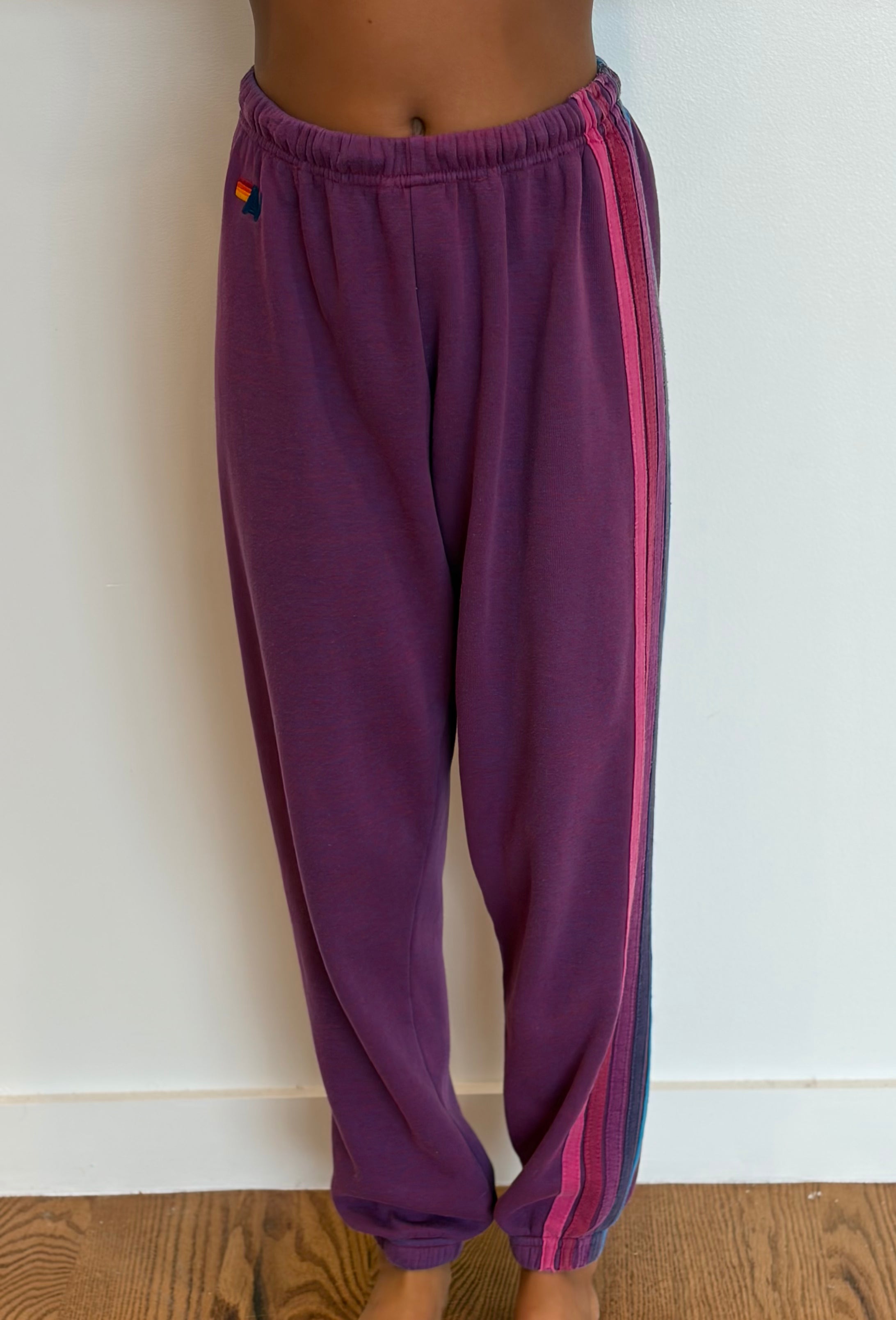 VINTAGE AVIATOR NATION Classic Five Stripe Sweatpants SMALL PURPLE on Simply Obsessed