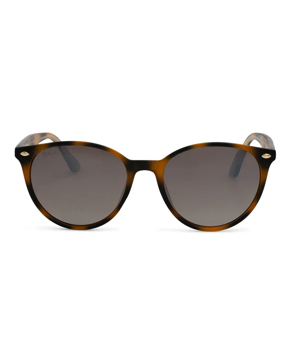 DAX Asher Shell Sunglasses on Simply Obsessed