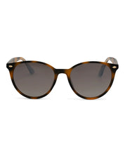 DAX Asher Shell Sunglasses on Simply Obsessed